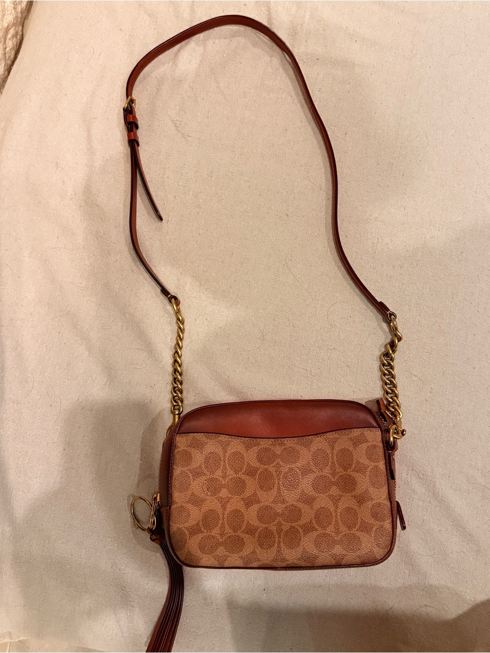 Coach Leather Crossbody Camera Bag in Brown
